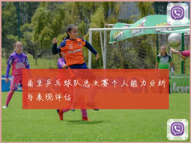 南京乒乓球队总决赛个人能力分析与表现评估