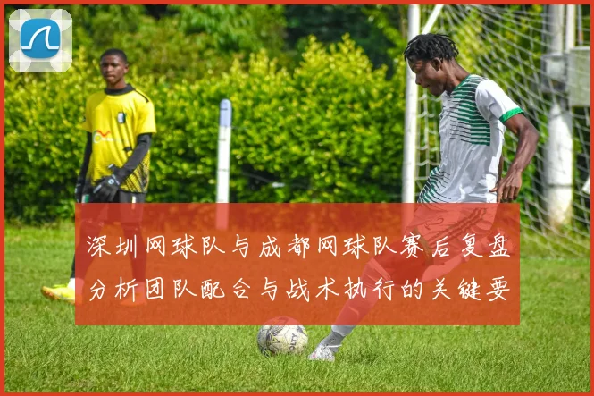 深圳网球队与成都网球队赛后复盘分析团队配合与战术执行的关键要素
