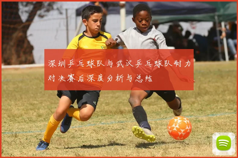 深圳乒乓球队与武汉乒乓球队耐力对决赛后深度分析与总结