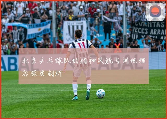 北京乒乓球队的精神风貌与训练理念深度剖析